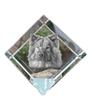 Eurasian, Eurasier – Crystal Cube with a Photo, Photo of a Horse In Crystal |