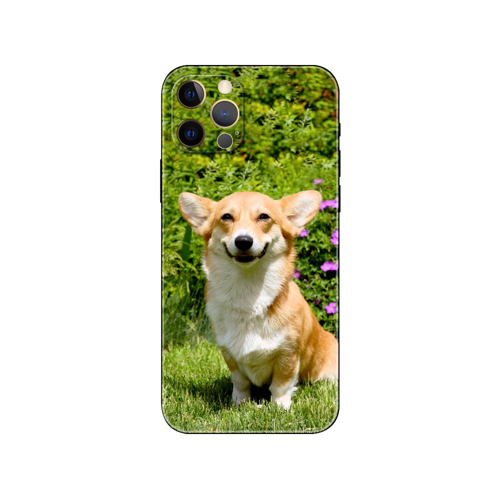 Pies Corgi słodkie zwierzę Kreskówka etui na telefon dla iphone 5 2020se 6 6s 7 8 plus x 10 XR XS 11 12 13 mini pro MAX czarny pokrowiec na tył z tpu