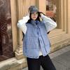 Stand-up collar plaid sleeveless cotton jacket vest jacket women's summer new stacked wear casual loose hidden buckle vest tide