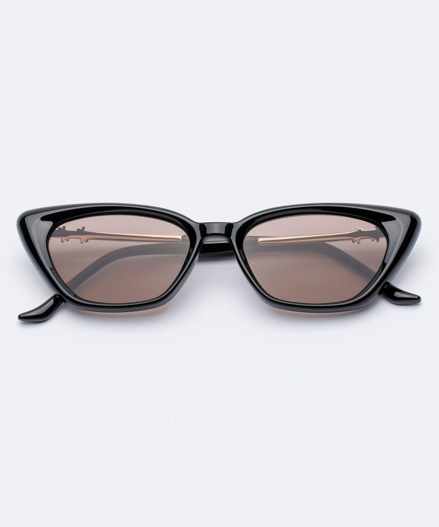 Likkeullou Rc Enclos Sunglasses Brown