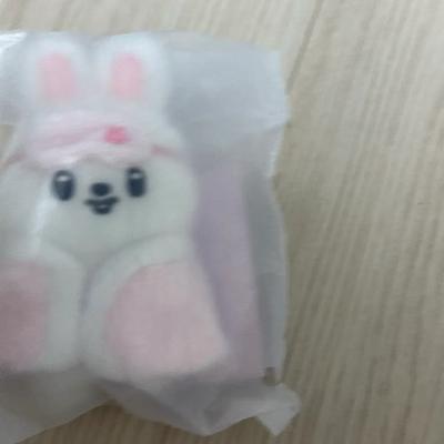 STRAY KIDS Unopened Skids Skiju 6th Generation Fan Meeting Endy 10cm Conkijuribit