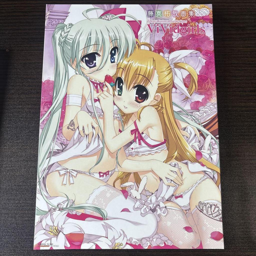 [USED] Comes with a Special Case for This Non-sale Item! Takuya Fujima Art Book ViVidgirls