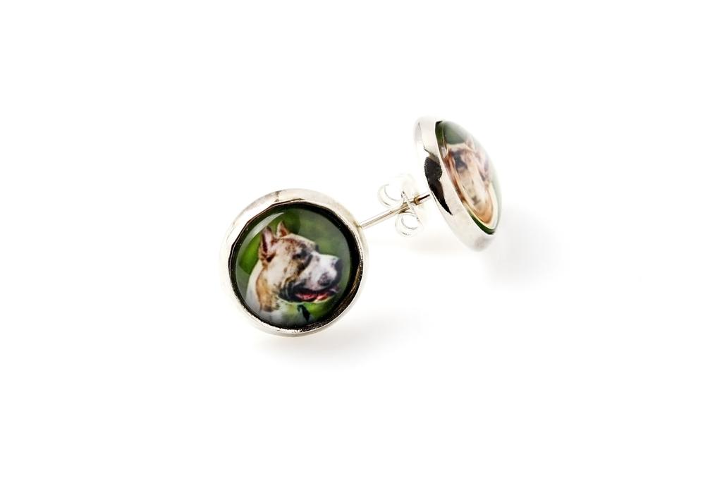 Pit Bull, American Pit Bull Terrier, Pitbull Terrier, APBT - earrings your photo handmade, own photo, jewelry from the Art.-Dog brand