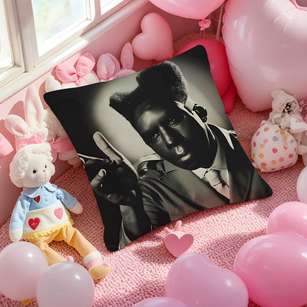 Rapper T-Tyler the Creator Cushion Cover Pattern Printed Pillowcase for Living Room Sofa Cushion Cover & Bedroom Decor