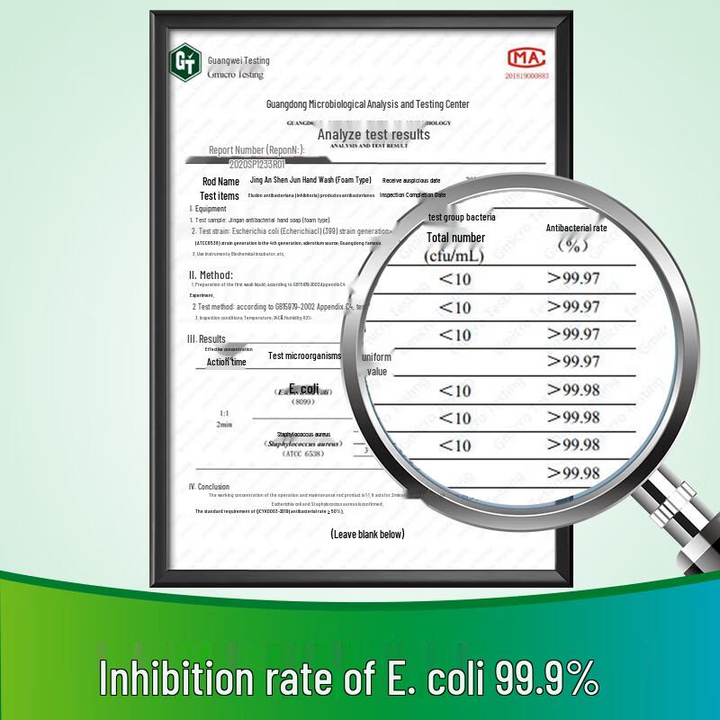 Jingan Foaming Antibacterial Hand Soap