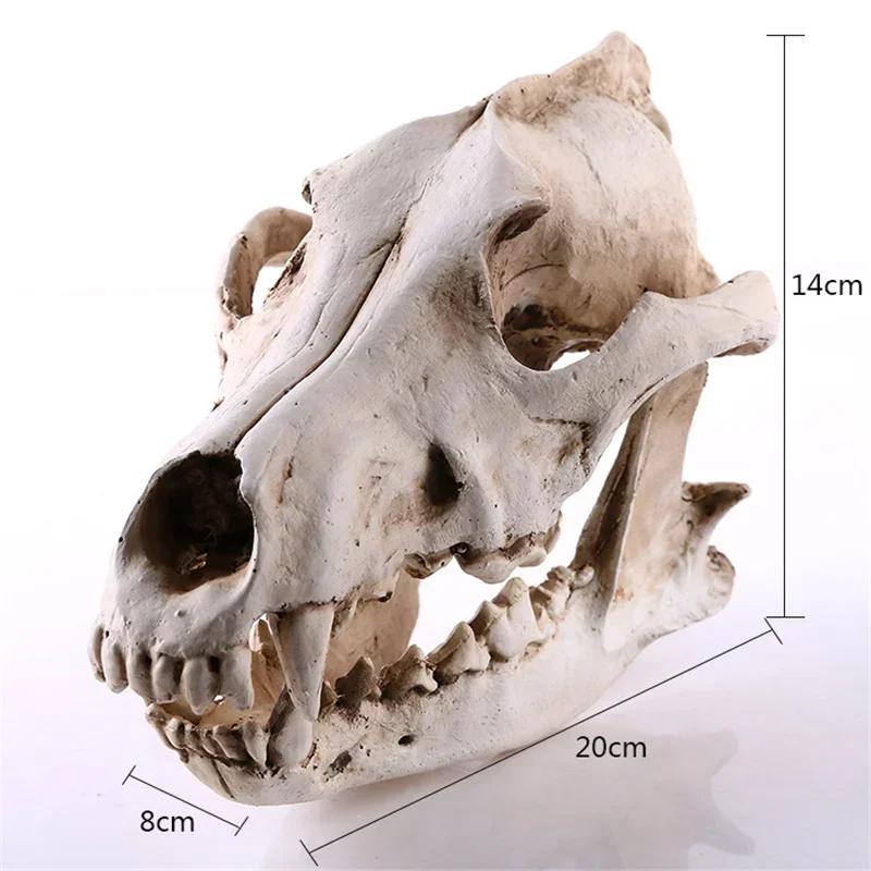 Resin Craft Halloween Decoration Lifelike Wolf Skull Statues Creative Home Decoration Skull Statue Sculpture Art Sketch Model