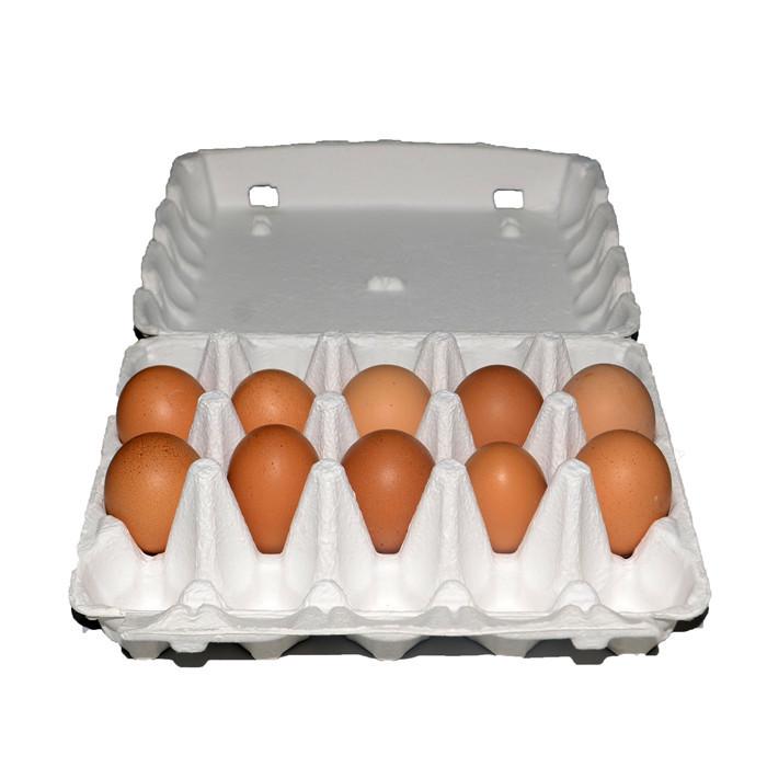20 ks prodyšných kartonů na vejce z dužiny pro dárky a přepravu