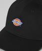 DICKIES Hardwick Ball Cap Black