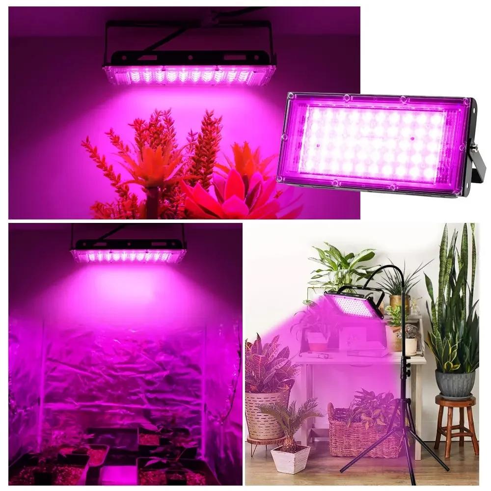 AC 220V Full Spectrum LED Grow Light Phyto Lamps 50W 100W 200W 300W With EU Plug For Greenhouse Hydroponic Plant Growth Lighting