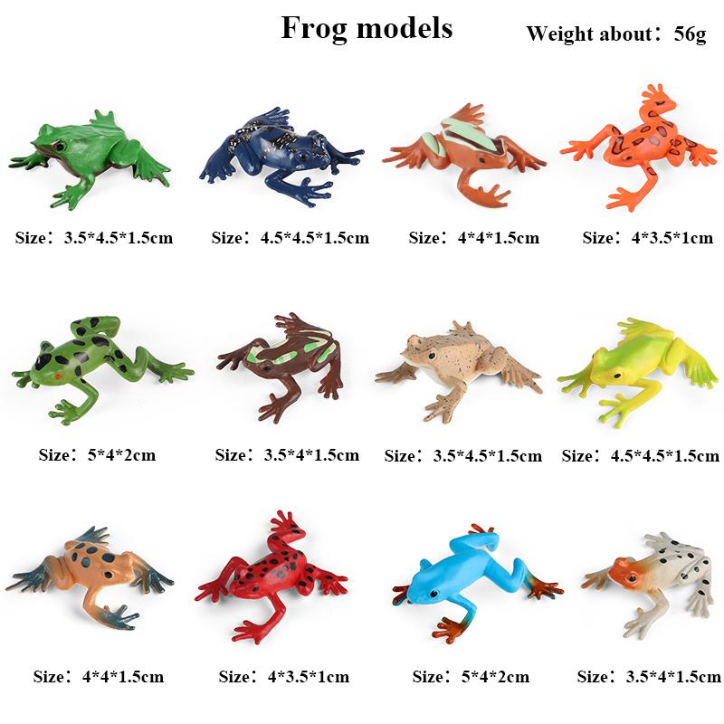 Oenux Montessori Toy Wild Farm Dinosaur Ocean Cat Animals Model Action Figure Zoo Figurines Cute Miniature Education Kid Gift