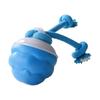 Dog Boredom Stimulating Toy 2025 Smart Pet Puppy Ball With Ropes