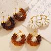 European and American amber twist resin earrings women's stainless steel retro U-shaped high-end design earrings