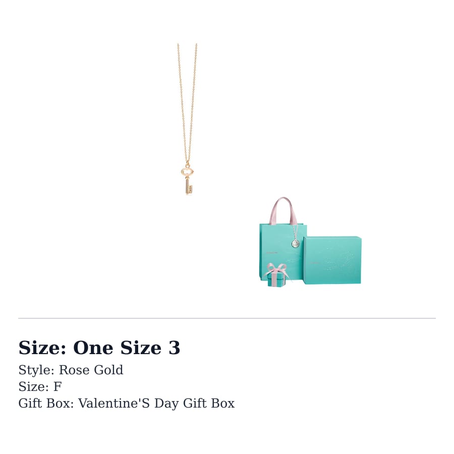 TIFFANY & CO. Keys Necklaces Women's 60011534
