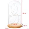 Cloche With Suspended LED Lights Tabletop Lamp Wedding Holiday Decor Crafts