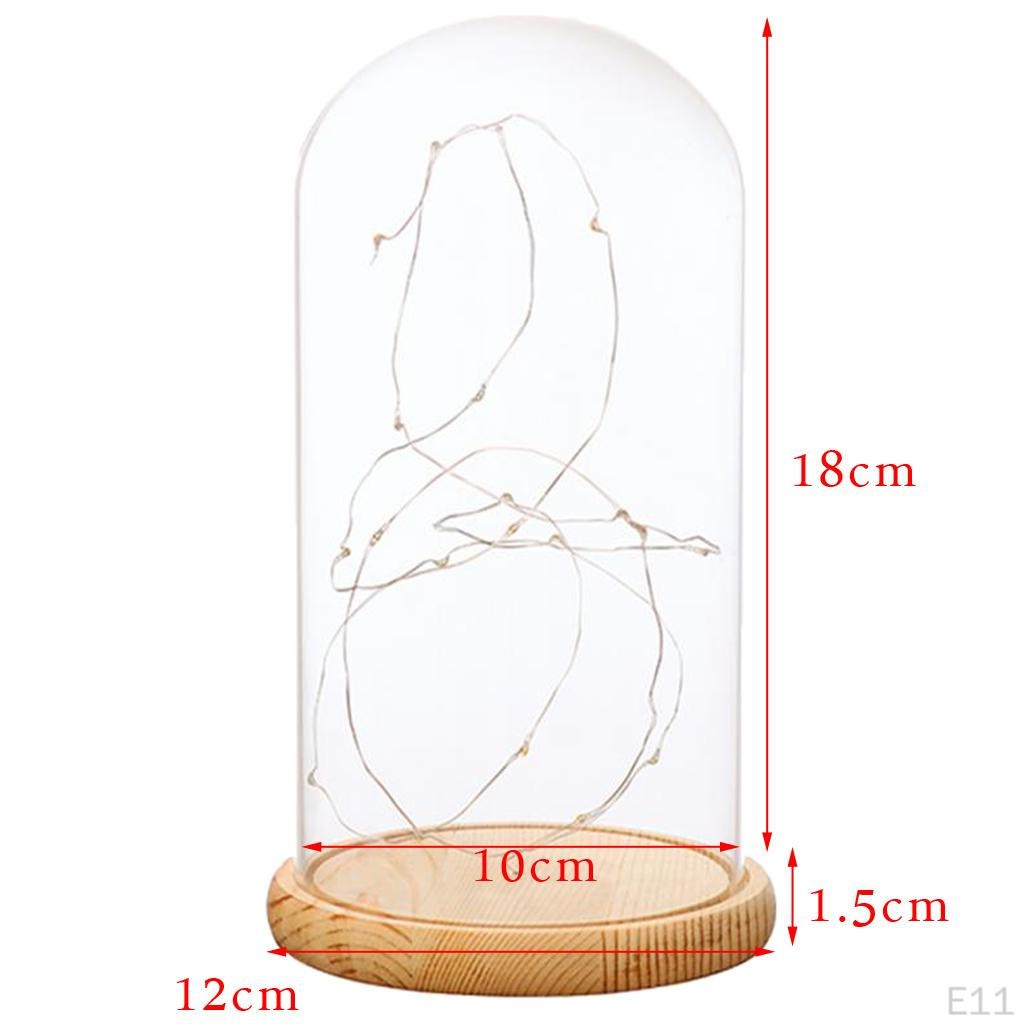 Cloche With Suspended LED Lights Tabletop Lamp Wedding Holiday Decor Crafts