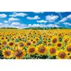 Epoch 1000 Piece Jigsaw Puzzle Japan Scenery Sunflower Village - Hokkaido (50 x 75 cm) 09-029s wi...