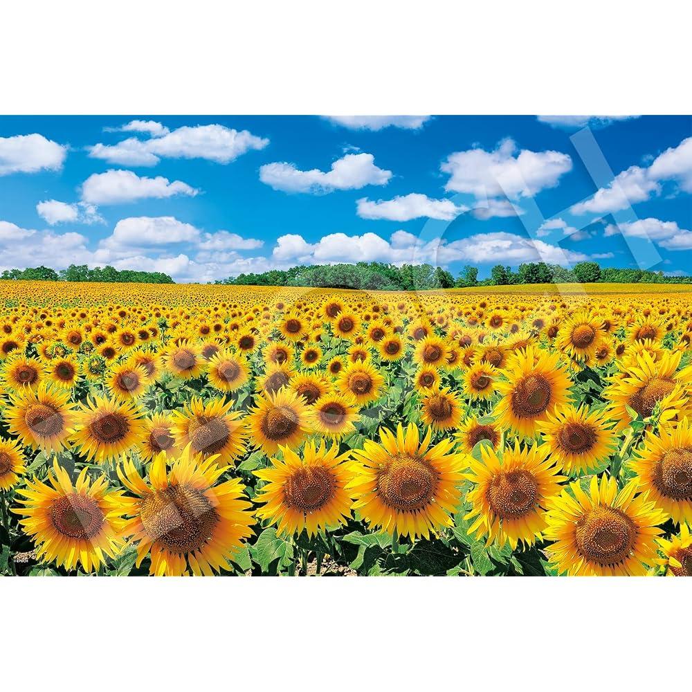 Epoch 1000 Piece Jigsaw Puzzle Japan Scenery Sunflower Village - Hokkaido (50 x 75 cm) 09-029s wi...