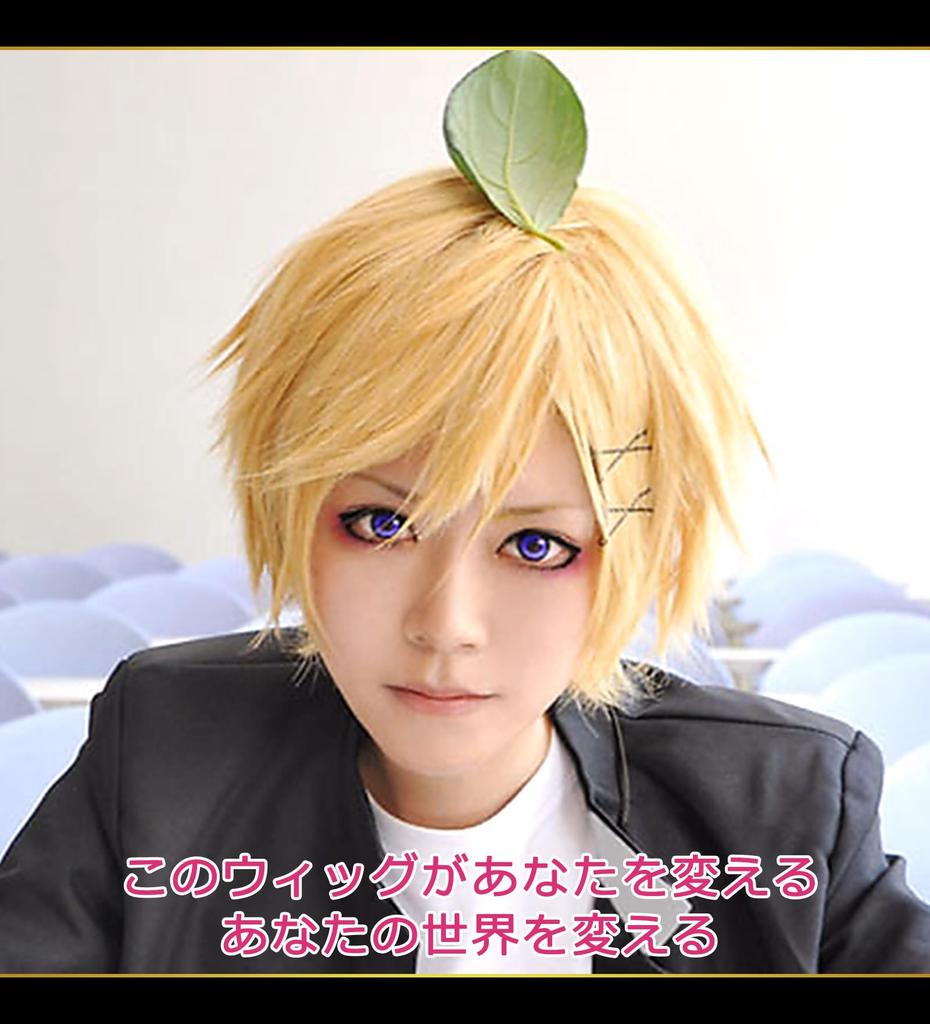 CaseEden Cosplay Heat Light WIG4860 Wig, Short, 30cm, Resistant, Gold, Blonde, Gold,