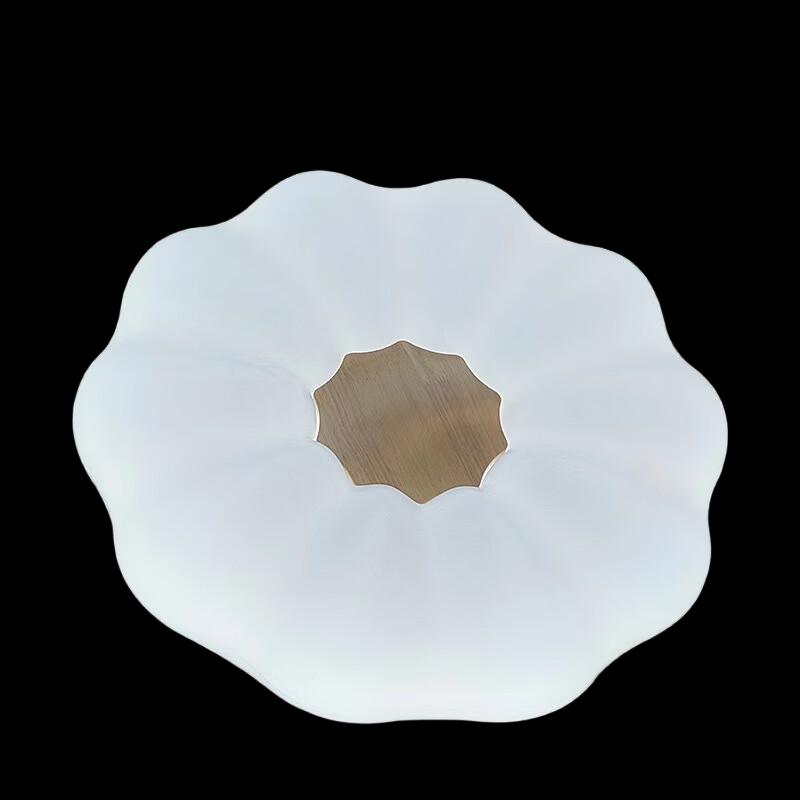Xuanyong Simple Starry Sky LED Ceiling Light