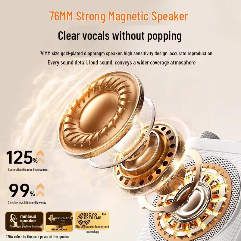 Good Shepherd Portable Bluetooth Voice Amplifier with Wireless Lavalier Microphone (CN version)