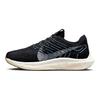Nike  Pegasus Turbo Next Nature Black Noise Aqua Women Sneakers Anthracite White DM3414-004