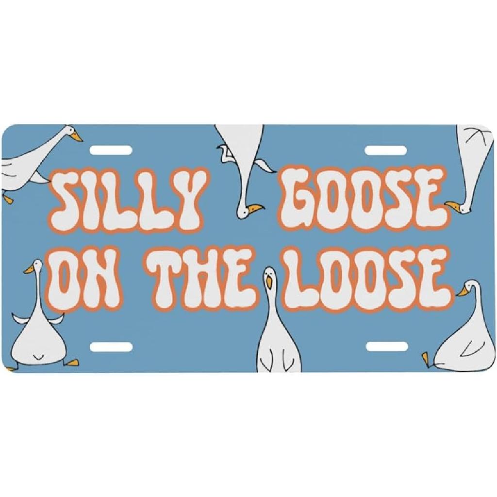 Sea Turtle Marble Front License Plate for Women Car Vanity Plates Decorative Aluminum Metal Cute Novelty License Plate Cover for Men 6x12 Inch (4