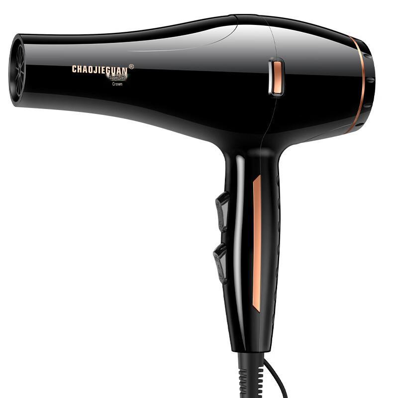 OIMG High-Power Negative Ion Hair Dryer