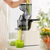 Commercial Large Caliber Fruit Vegetable Slow Speed Juicer Household Juice Residue Separation Fruit Juice Extraction Machine