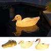 Decorative Resin Swan Statues for Ponds Solar Floating Garden Statue with Warm LED Lights, Waterproof Outdoor Pond Decor Automatic Dusk to Dawn
