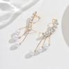 European & American Long Tassel Zircon Stud Earrings for Women - Trendy, Light Luxury Niche Ear Accessories