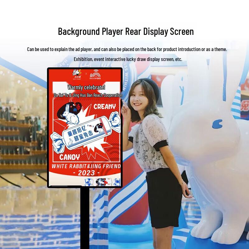 LUOBAOYI Mobile Live Stream Display CN plug (adapter included)