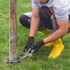Ferramentas de jardinagem – Ferramentas para remoção de ervas daninhas