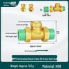Brass Check Valve: PPR 20 4-point, 25 6-point, 1 Inch 32 Hot Melt Horizontal One-way Anti-backflow Water Pipe.