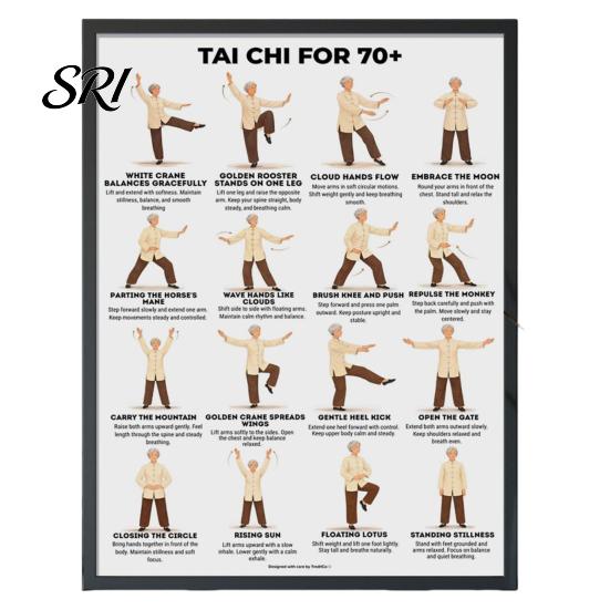 Tai Chi Chair Exercise Poster Workout Unframed Routine Clear Visual Instructions Low Impact Guide Seated Chart for Seniors Beginners Gentle