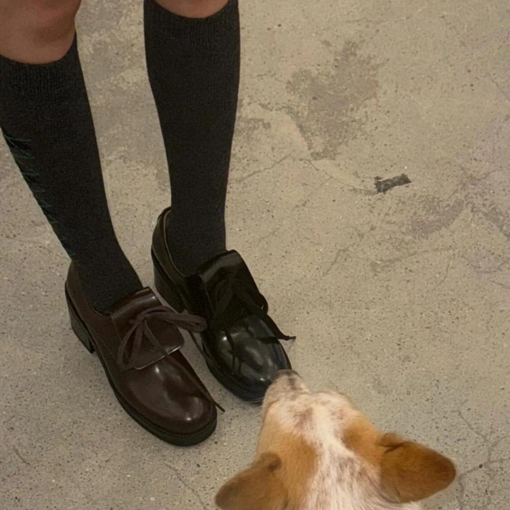 New Luxury Retro Thick Bottom Loafers Women Round Toe Flat Shoe Spring Autumn Commuter Shoes Walking Shoes Single Shoes