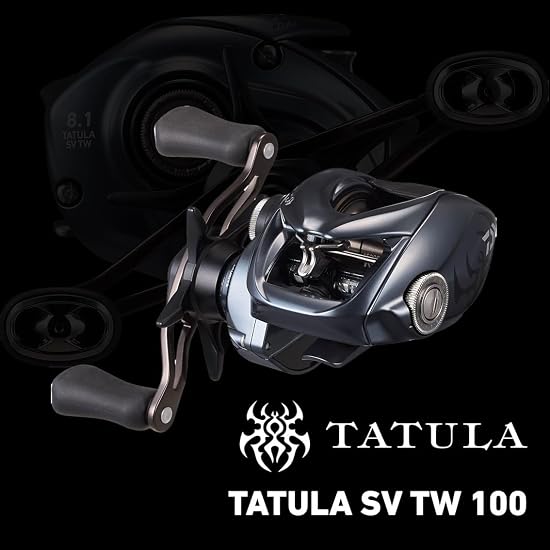 DAIWA Baitcasting Rolle 25 TATULA SV TW 100XHL