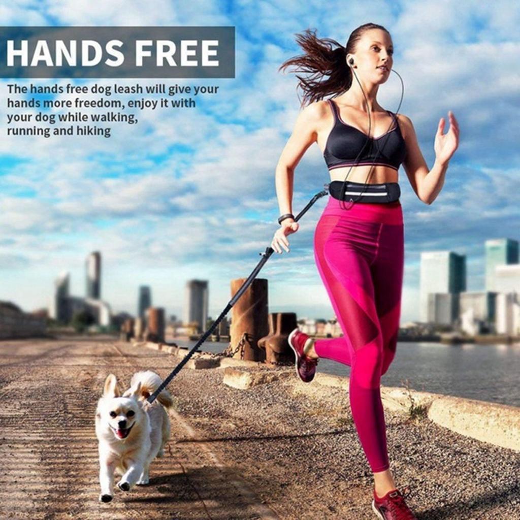 hands free leash