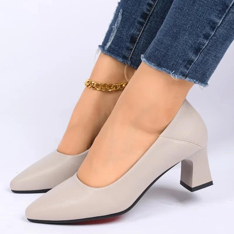 2024 New Fashion Women's Shoes Thick Heels Spring and Autumn Shoes for Outerwear Professional Commuting Pointed Toes Zapatos