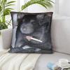 Pc Funny Smoking Rat Meme Throw Pillow Cover D DoubleSided Print Soft Polyester Cushion Case for Home Sofa Bedroom Car Decor