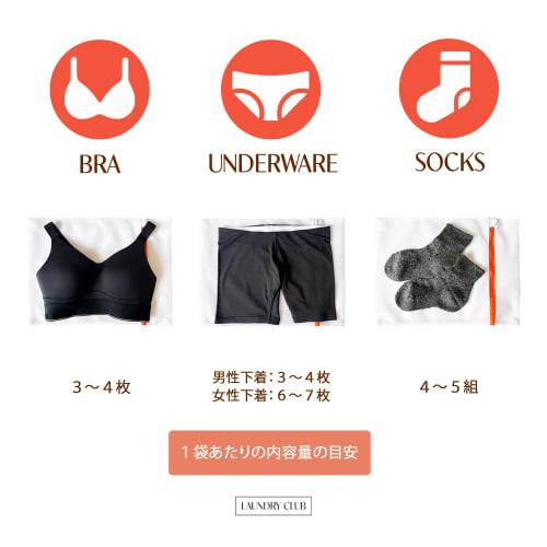 Laundry Net (40cm X 30cm) Set of 4, Finely Weave Construction, Rust-Resistant Zipper, Durable Polyester Material, Keeps Fashionable Clothes and Underw