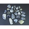 325Cts. Natural Dendrite Opal Agate Fancy Cabochon Loose Gemstone 24Pcs Lot C-1995