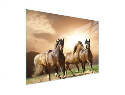 SZKLANA DESKA DO KROJENIA 40x30 KONIE
