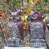 Owl Garden Ornaments: Rodent Repellent, Decorative Bird Sculptures