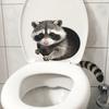Yousheng  Creative 3D Peeking Raccoon Toilet Stickers, Self-Adhesive Toilet Seat Sticker, Waterproof PVC Water Tank Sticker, Peel And Stick Raccoon
