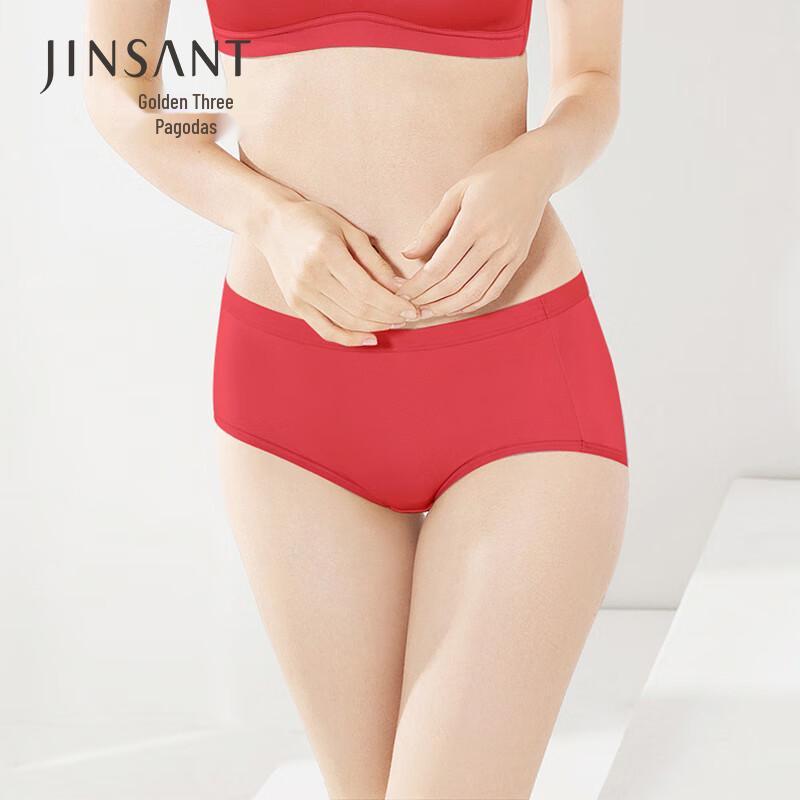 Jinsanta Women's Seamless Silk Mid-Waist Briefs