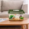 Fish Tank Turtle Tank Outdoor Insect Specialized Container Portable Breeding Box With Lid