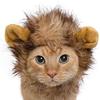 Pet Lion Mane Costume Headgear for Cats Halloween Parties Photo Shoots