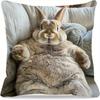 Short Plush “Chill Bunny On Sofa” Pillowcase 18x18 Inch Double Sided Printed Zipper Cushion Cover Whimsical Animal Decor