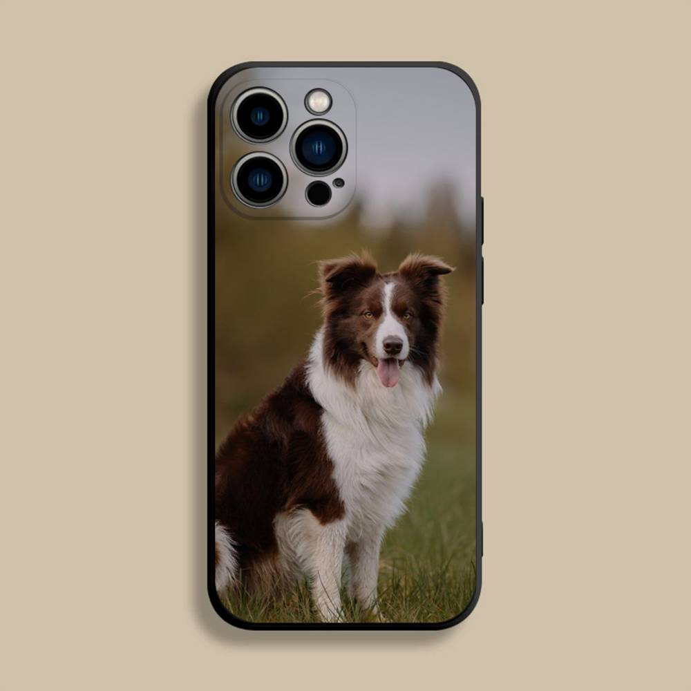 Border Collie Dog Phone Case For iPhone 17,16,15,14,13,12,Pro,Max,Plus,E,SE4,Air,Mini Black Soft Cover