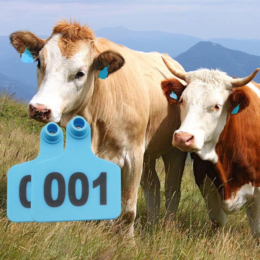 Cattle Ear Tag with Laser-Engraved Text for Farm Identification